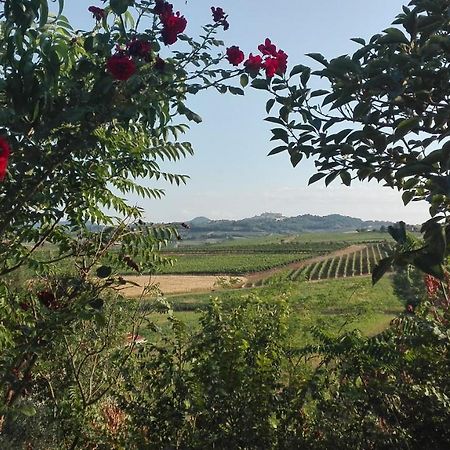 Agriturismo La Chiesina Abbadia di Montepulciano Exteriér fotografie