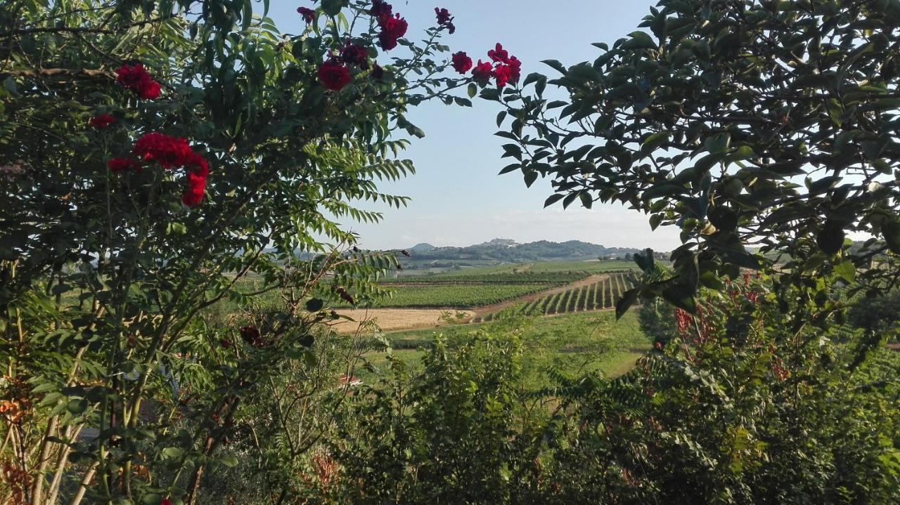 Agriturismo La Chiesina Abbadia di Montepulciano Exteriér fotografie