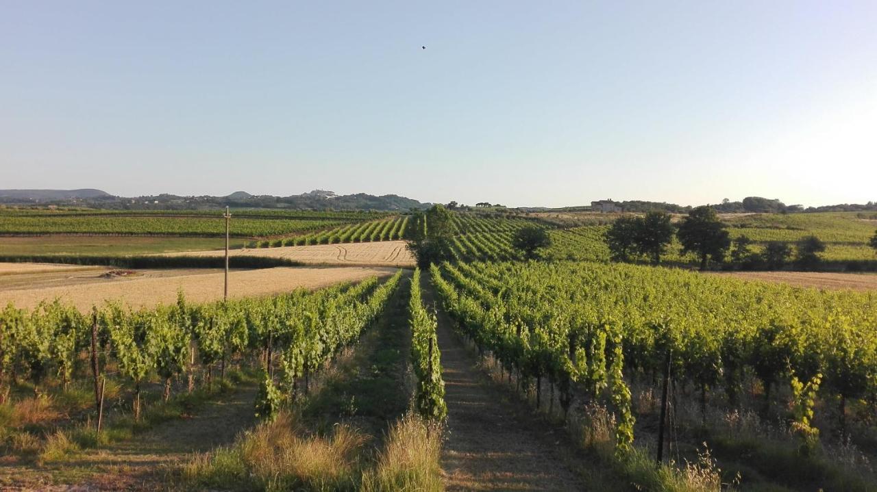 Agriturismo La Chiesina Abbadia di Montepulciano Exteriér fotografie